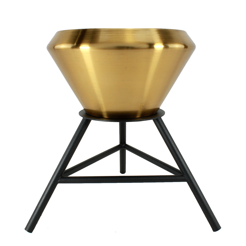 Figura Decorativa Cuenco