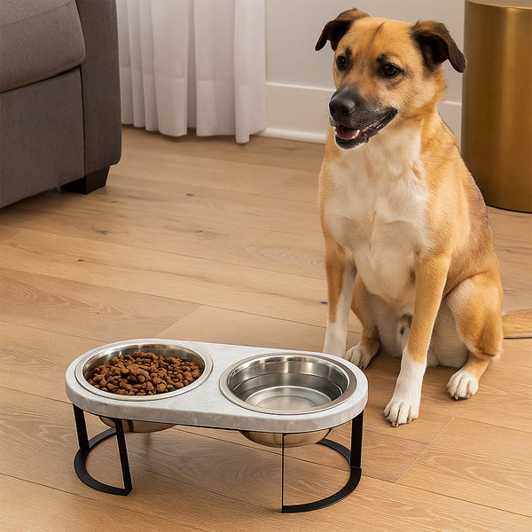 Platos para mascota Dulce