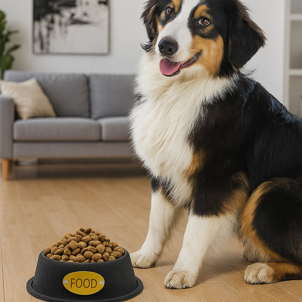 Plato para mascotas Peluche