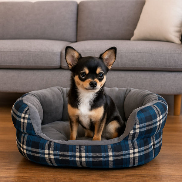 Cama para mascotas Traviesa